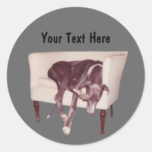 Greyhound Sleeping In Chair Funny Dog Sticker