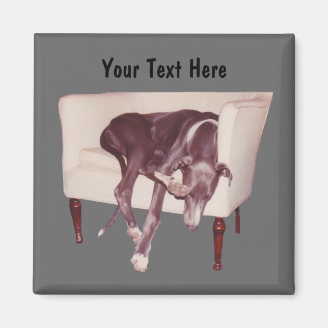 Greyhound Sleeping In Chair Funny Magnet (Front)