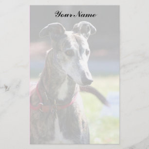 Greyhound stationary stationery