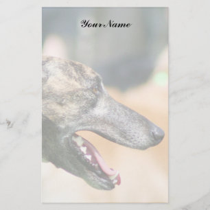 Greyhound stationary stationery