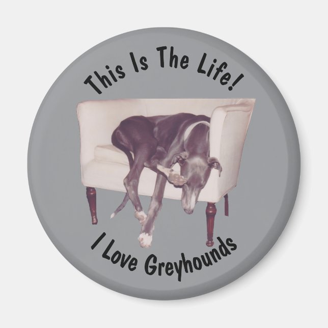 Greyhound This Is The Life  Magnet (Front)