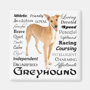 Greyhound Traits Magnet