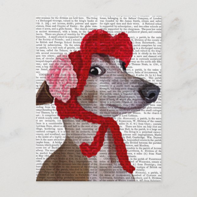 Greyhound with Red Woolly Hat 2 Postcard (Front)
