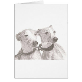 Greyhounds