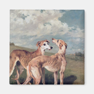 Greyhounds Magnet