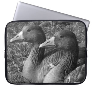 Greylag Geese (B&W) Laptop Sleeve