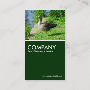 Greylag Goose - Dark Green Business Card