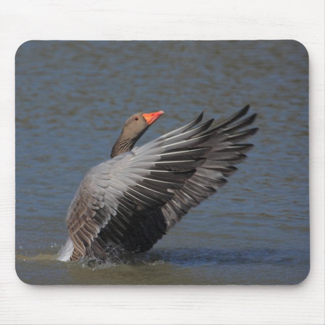 Greylag Goose Mouse Mat (Front)