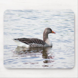 Greylag Goose Mouse Mat