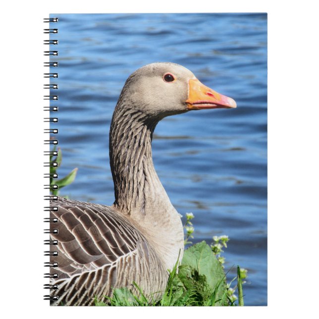 Greylag Goose Notebook (Front)