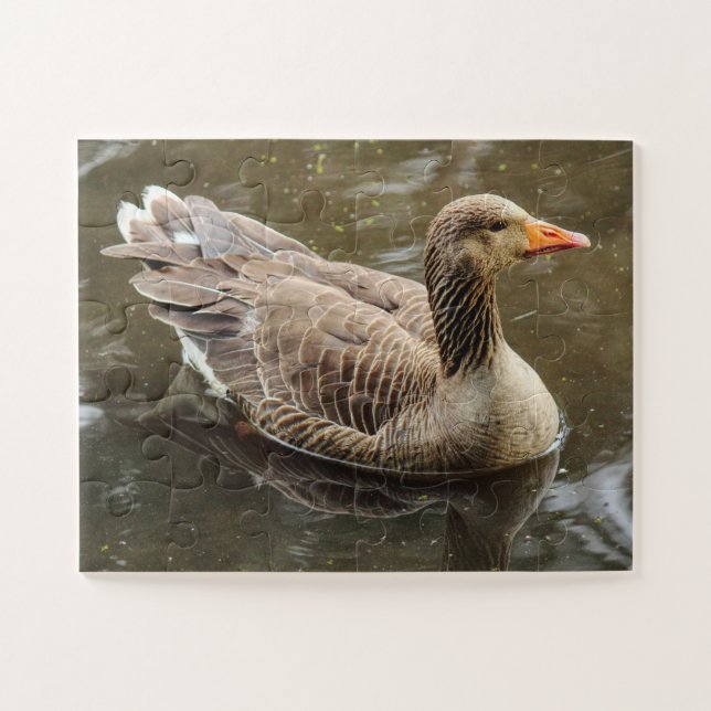 Greylag Goose. Roath Park Lake, Cardiff, Wales Jigsaw Puzzle (Horizontal)