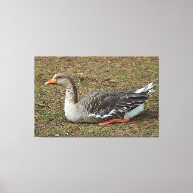 Greylag Swan Goose Cross Canvas Print (Front)