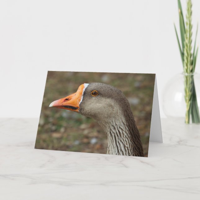 Greylag Swan Goose Cross Card (Front)