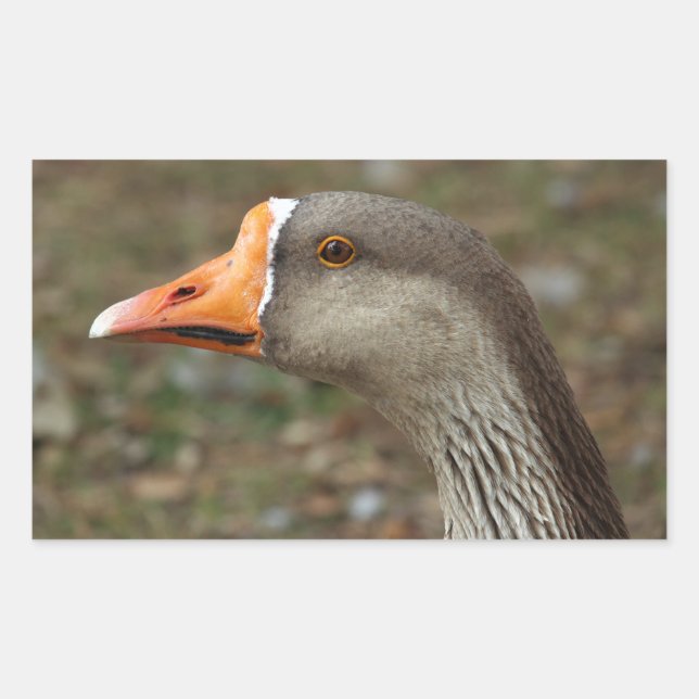 Greylag Swan Goose Cross Rectangular Sticker (Front)
