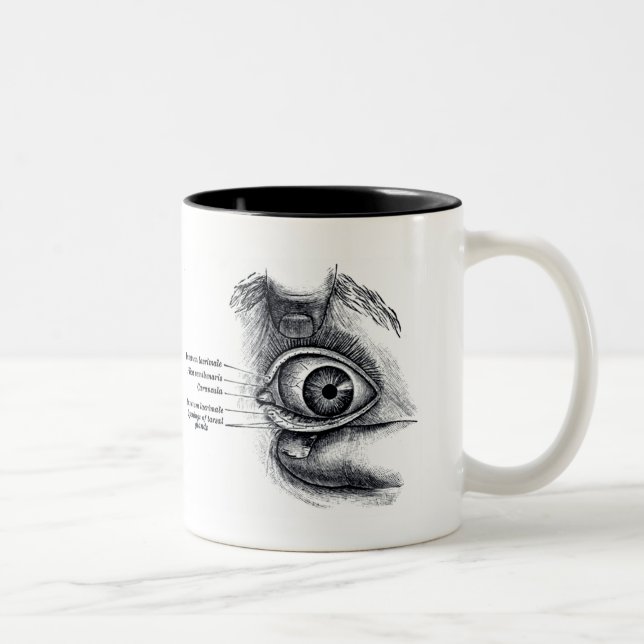 Grey's Anatomy — eyeball Two-Tone Coffee Mug (Right)
