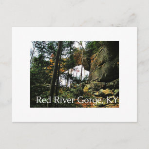 Grey's Arch, KY Postcard