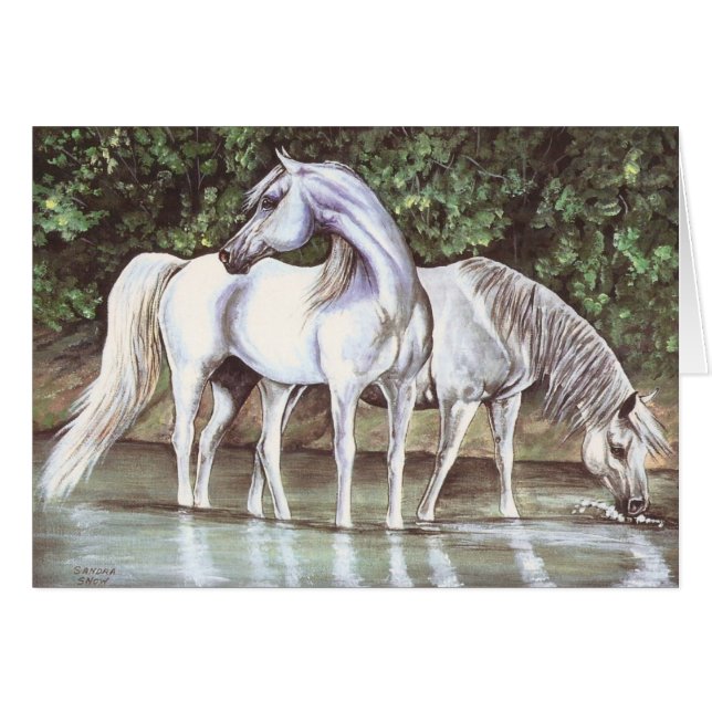 Greys in stream (Front Horizontal)