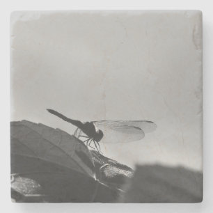 Greyscale Dragonfly on Stone Coaster
