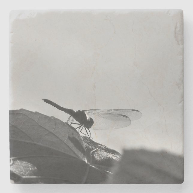 Greyscale Dragonfly on Stone Coaster (Front)