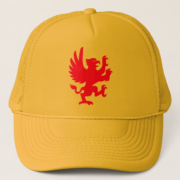 Griffin Hats & Caps | Zazzle UK