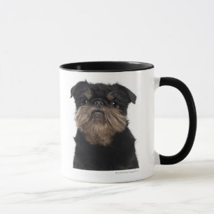 Griffon Bruxellois close-up Mug