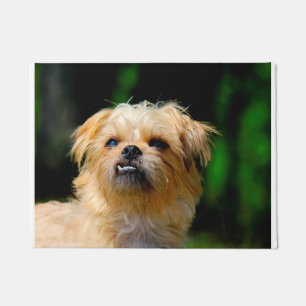 Griffon Dog Doormat