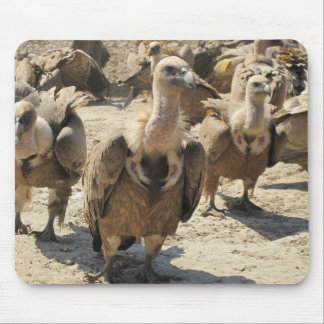 Griffon Vulture Mouse Mat