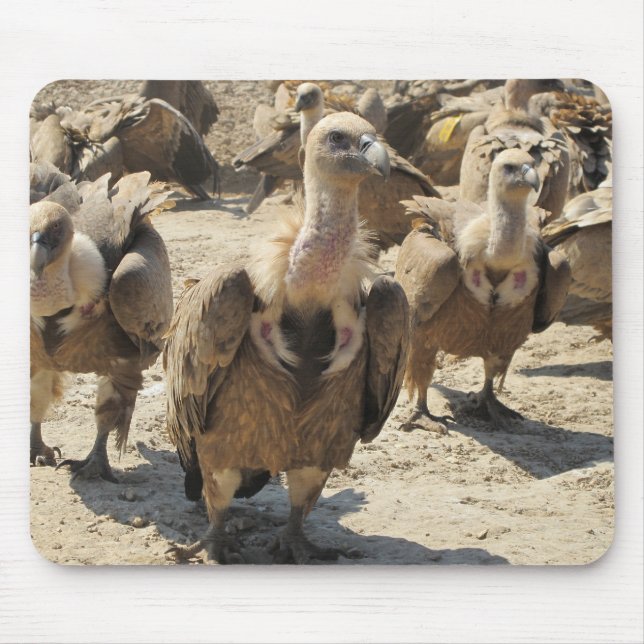 Griffon Vulture Mouse Mat (Front)