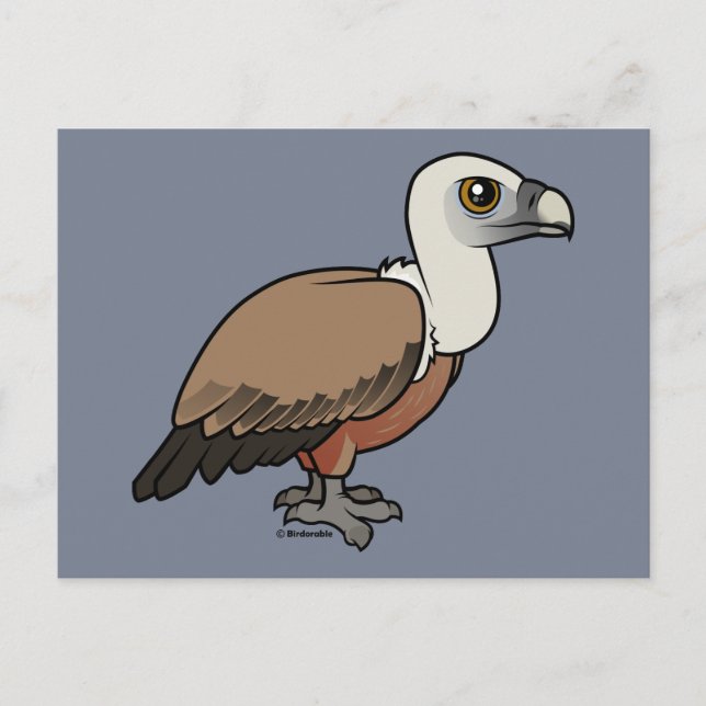 Griffon Vulture Postcard (Front)