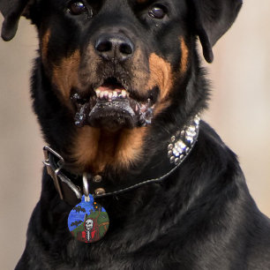 Grim Reaper Skeleton Haunted House Tombstones Pet Tag