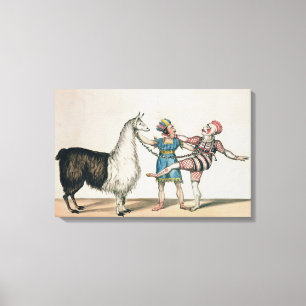 Grimaldi and the Alpaca, in the Popular Pantomime Canvas Print