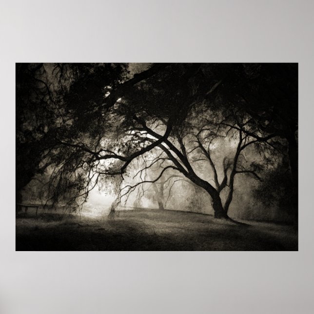 GRIMM'S FOREST Poster (Front)