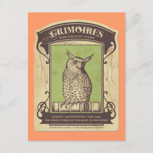 Grimoires Owl Postcard