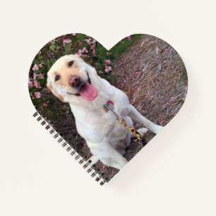 Grin Notebook