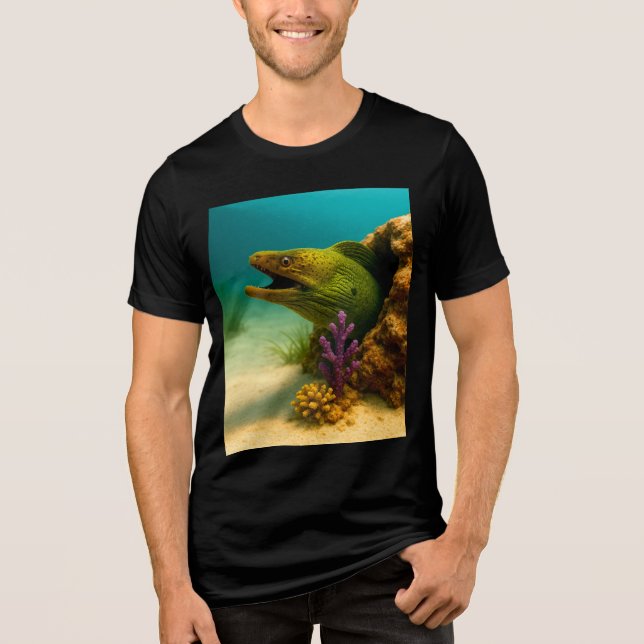 Grin of the Reef Tri-Blend Shirt (Front)