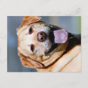 Grin  postcard