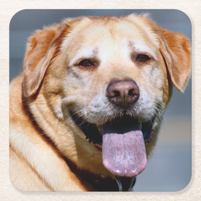 Grin Square Paper Coaster (Front)