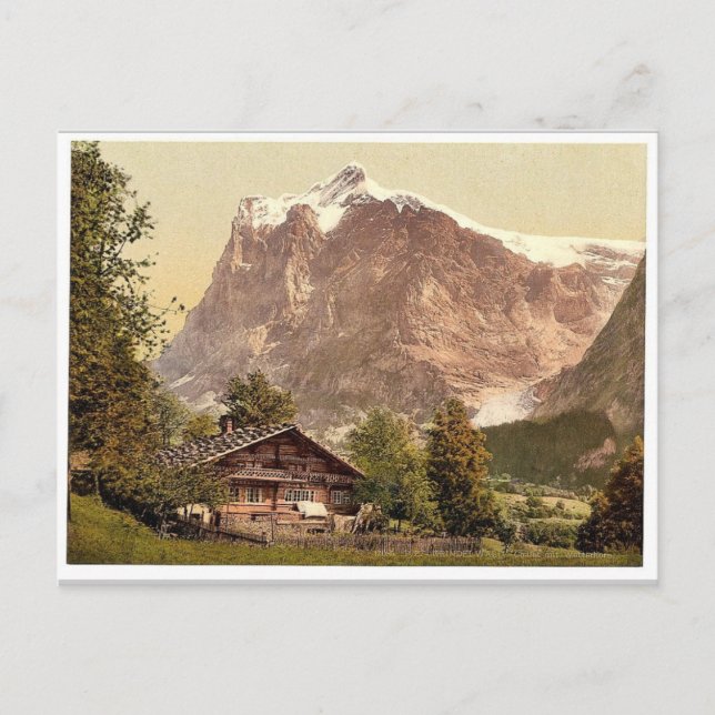 Grindelwald, chalet and Mount Wetterhorn, Bernese Postcard (Front)