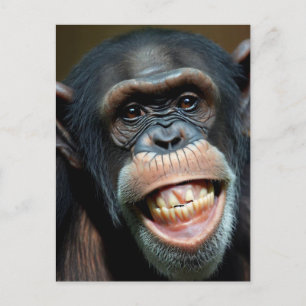 Grinning Chimpanzee Postcard