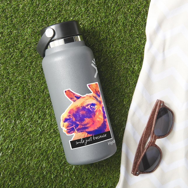 grinning llama smile just because quote  (HydroFlask Insitu)