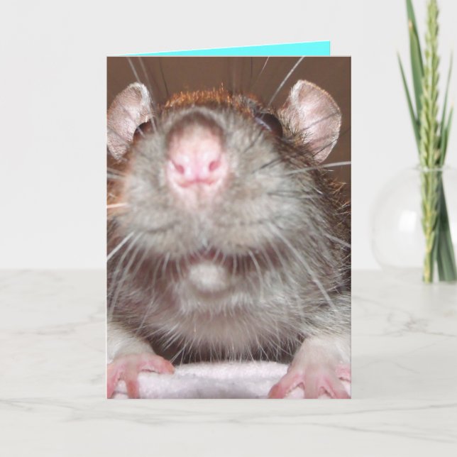 grinning rat Birthday card (Front)