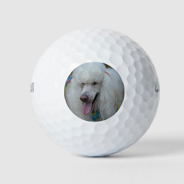 Grinning White Standard Poodle Golf Balls (Front)