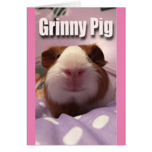 Grinny pig