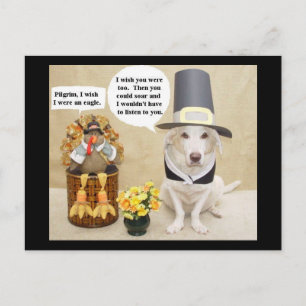 Griping & Moaning Turkey Postcard