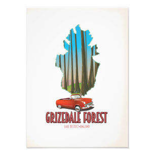 Grizdale forest lake district england map photo print