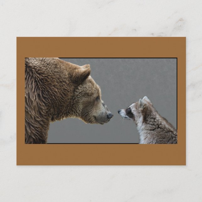 Grizzle Bear Meets Racoon Postcard (Front)