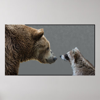 Grizzle Meets Racoon Poster