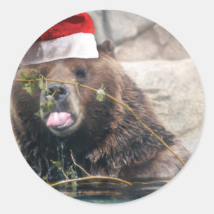 Grizzley Bear in a Santa Hat Classic Round Sticker