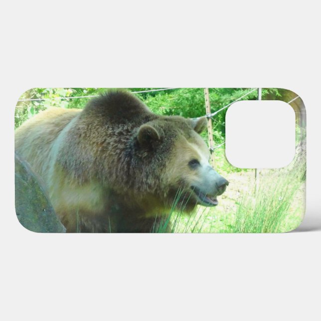 Grizzly Bear #3 iPhone 13 Pro Case (Back (Horizontal))