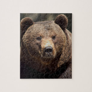 GRIZZLY BEAR 8X10 JIGSAW Puzzle